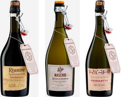 Senzatempo: novitą da Cantine Riunite Senzatempo: novitą da Cantine Riunite